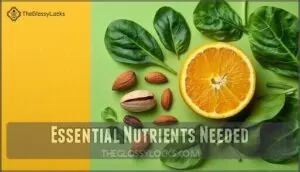 essential nutrients needed essential nutrients needed