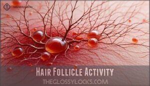 hair follicle activity