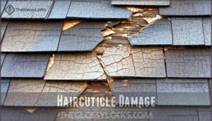 haircuticle damage