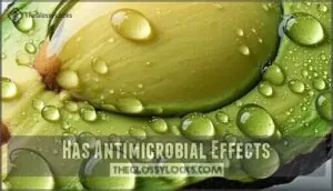 has antimicrobial effects has antimicrobial effects