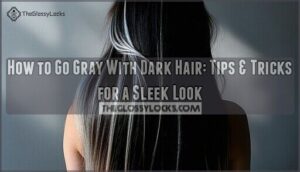 how to go gray with dark hair