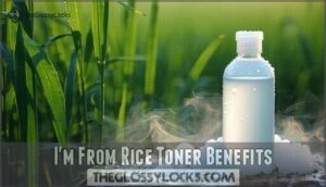 i'm from rice toner benefits