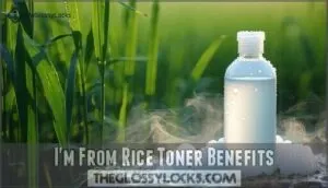 i'm from rice toner benefits