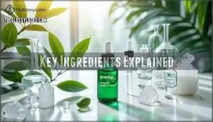 key ingredients explained