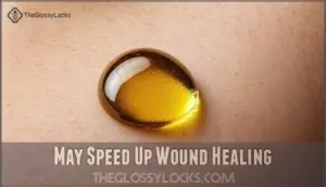 may speed up wound healing may speed up wound healing