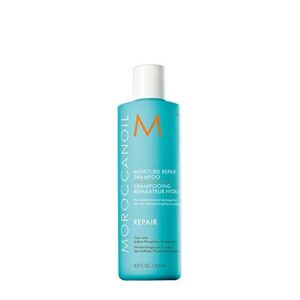 Moroccanoil Moisture Repair Shampoo B002N5MKLW