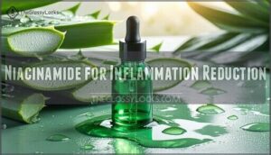 niacinamide for inflammation reduction