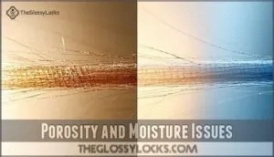 porosity and moisture issues
