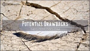 potential drawbacks