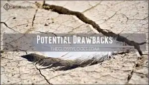 potential drawbacks