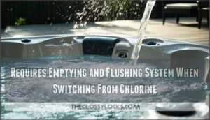 requires emptying and flushing system when switching from chlorine