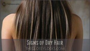 signs of dry hair