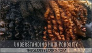 understanding hair porosity