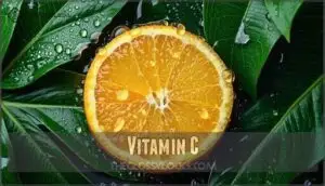 vitamin c