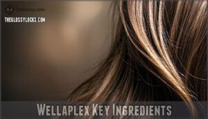 wellaplex key ingredients