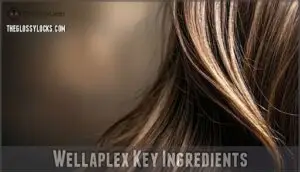 wellaplex key ingredients
