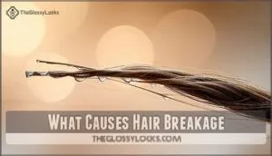 what causes hair breakage