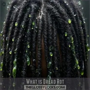 what is dread rot what is dread rot