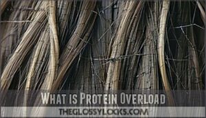 what is protein overload