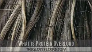 what is protein overload