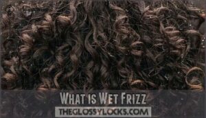 what is wet frizz