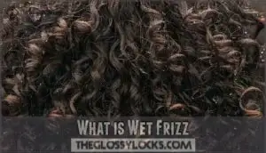what is wet frizz
