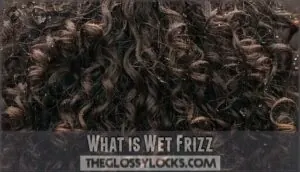 what is wet frizz what is wet frizz
