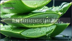 aloe barbadensis leaf juice