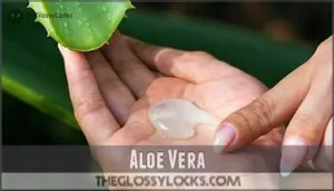 aloe vera aloe vera