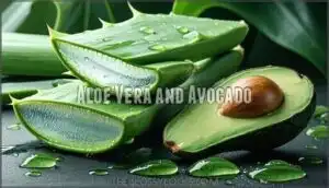 aloe vera and avocado