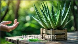 aloe vera benefits