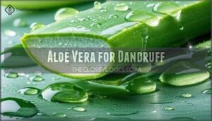 aloe vera for dandruff