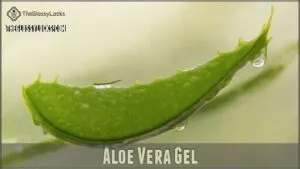 aloe vera gel aloe vera gel