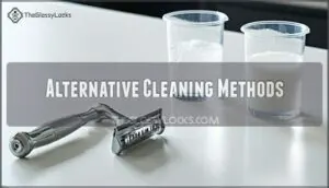 alternative cleaning methods alternative cleaning methods