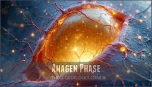 anagen phase