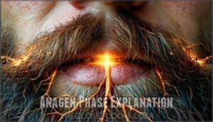 anagen phase explanation