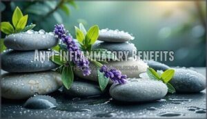 anti-inflammatory benefits