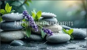 anti-inflammatory benefits anti-inflammatory benefits