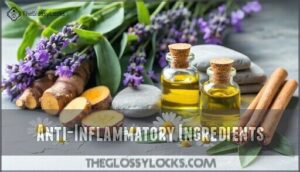 anti-inflammatory ingredients