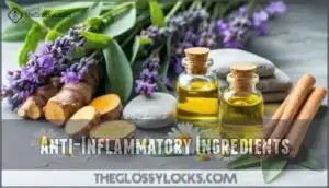 anti-inflammatory ingredients