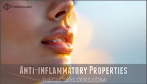 anti-inflammatory properties anti-inflammatory properties