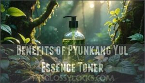 benefits of pyunkang yul essence toner