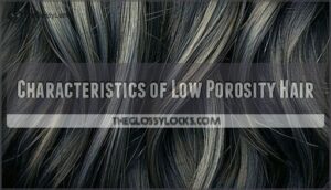 characteristics of low porosity hair