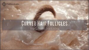 curved hair follicles