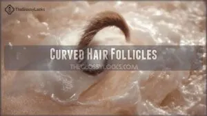 curved hair follicles