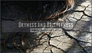 dryness and brittleness