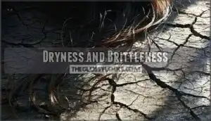 dryness and brittleness