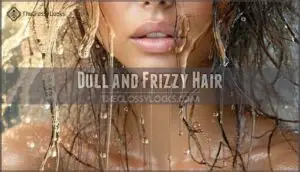 dull and frizzy hair