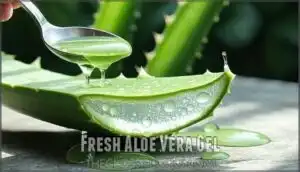 fresh aloe vera gel