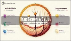 hair growth cycle